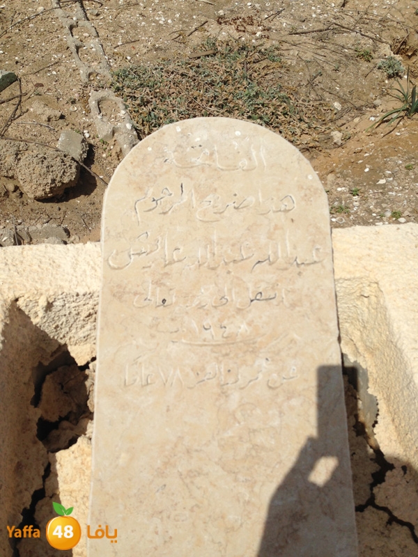 kazakhananwofods406 (17).jpg